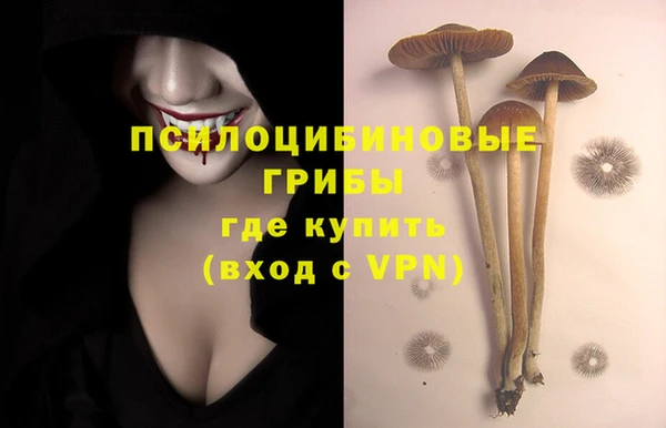 прущая мука Арсеньев