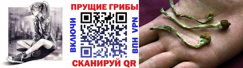 omg ONION Аркадак Псилоцибиновые грибы ЛСД